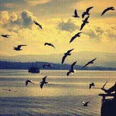 Jawa7erكانت حياتي بخير