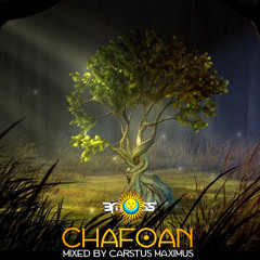 Carstus Maximus (BMSS Records Germany) - Chaofoan (Dj Mix)