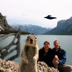 the schizo squirrel [OMG:-o]