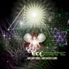 Ecometric - Blackberry (Kalyas Rusted Caramel remix) *preview* 424Hz