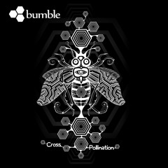 Psy & TempleDub Singles