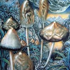 Psilocybes B+ ( Dj Vankappel & ColossusMind Original Mix ) PREVIEW