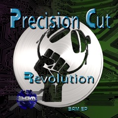 Precision Cut - Revolution EP (Teaser)