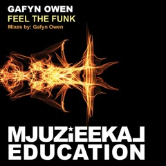Gafyn Owen - Feel The Funk (Signed to Mjuzieekal Education) OUT NOW