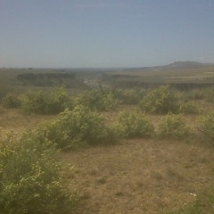 The Persistence of loss