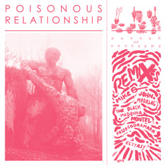 Poisonous Relationship - Nite Birds (MikeQ Remix)