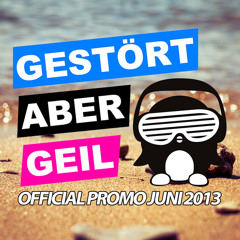 Gestört aber Geil - Official Promo June 2013