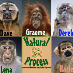 Natural Process-down by the river ( crosby stills nash and young cover I did in my basement studio )