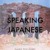 Artwork for Shiny Toy Guns - Speaking Japanese (Darktek Hysterik Remix)