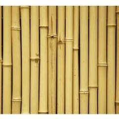 Rodrigo Sestrem e Leandro Floresta -   Tupi faz Tudo ( Remix Organic)