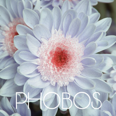 Phobos
