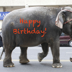 The Invisible Birthday Elephant Song (It's a joke song-not typical of my work)