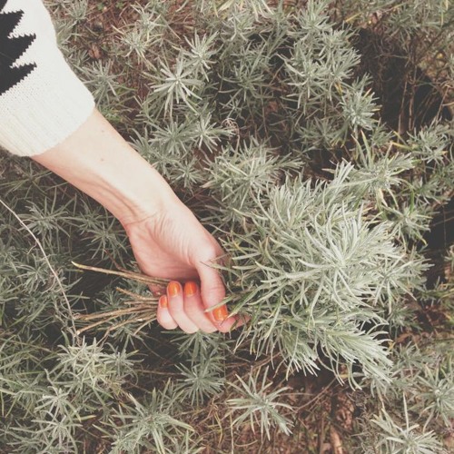 Florence And The Machine - What the Water Gave Me (DhARMA Edit)