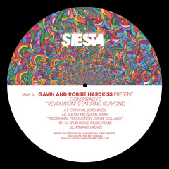 Gavin& Robbie Hardkiss Revolution Atnarko Remix Siesta Records