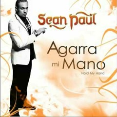 Sean Paul - Agarra Mi Mano (Dj Elmer Tueros)