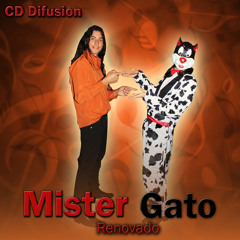 Mister Gato Renovado - Mix Lavate la cara - Chica Bonita