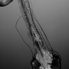 Ruach (Breath) ft. NIQ