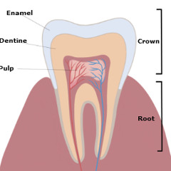 Cavity