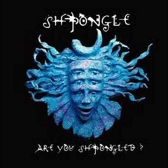 Shpongle - Shpongleyes