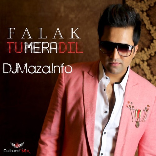 Falak - Tu Mera Dil (DJ Shadow Dubai Mix)