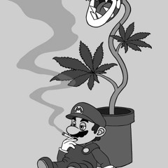 LIZER - MORNING WEED'S