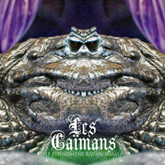 Les Caïmans [AYMERIC SOETENS HARDFLOOR REMIX]