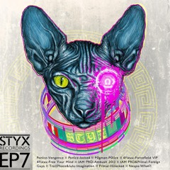 P0gman-P0lice : beatport.com/release/styx007/1110022