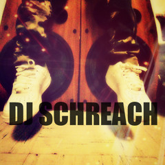WELCOME TO FLORIDA 2013 MIXX ! ( JOOK / 75HOP ) DJ SCHREACH