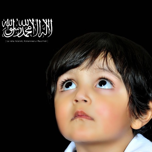 الجنة لا يدخلها الا الطيبين مقطع موثر