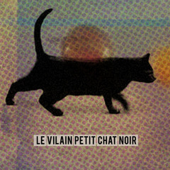 02 - Le vilain petit chat noir