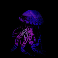 Au chevet des profondeurs (LaCohu013 "Perdu dans l'Abysse, 1989")