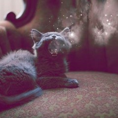 Galactic Kittens