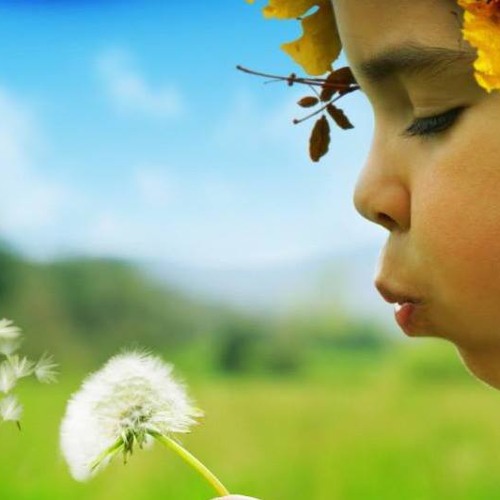 Cânt- floare minunat- (Vasile Oprea & Grupul Rugul Aprins)