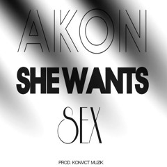 Akon - She Wants Sex (Clean Version 2013)