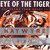 Artwork for Survivor - Eye Of The Tiger (Haywyre Remix) [ASPW #2] {Free DL}