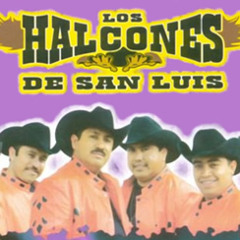 El Pavido Navido-Los Halcones de San Luis