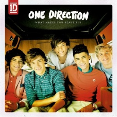 One Direction - What Makes You Beautiful (cover - voice)