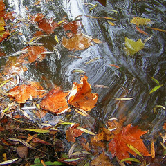 Connie Talbot - Colours of the Wind