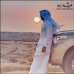 شيلات