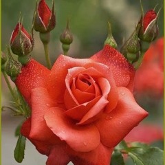 Mrinal__Da's_Titanic_ (official piano sound)_this is your heart