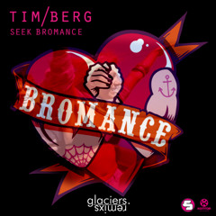 Tim Berg - Seek Bromance Glaciers EDM Remix