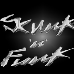 Why did you take so long? (Skunk'n'Funk Prod.)