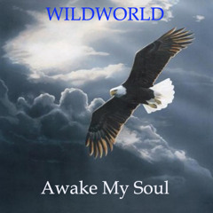 Awake My Soul