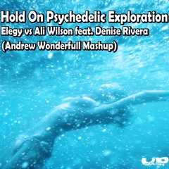 Elegy vs Ali Wilson feat. Denise Rivera - Hold On Psychedelic Exploration (Andrew Wonderfull Mashup)