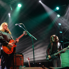 Govt Mule - I'd Rather Go Blind (live at Mountain Jam IX)