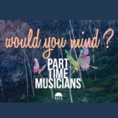 Would You Mind : Part Time Musicians Feat. Chladni Chandi