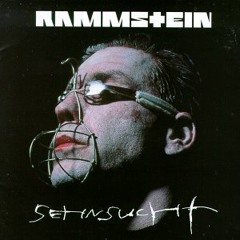 Rammstein - Bestrafe mich Slowed Remix