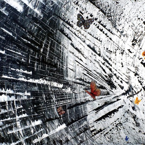 Direct Feed - Beauty in Chaos