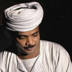 Betnadini-sayed rekaby