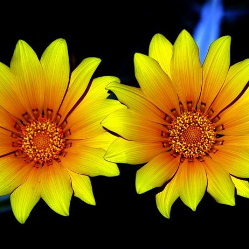 Lue-dang-sem-lay-bai-meto